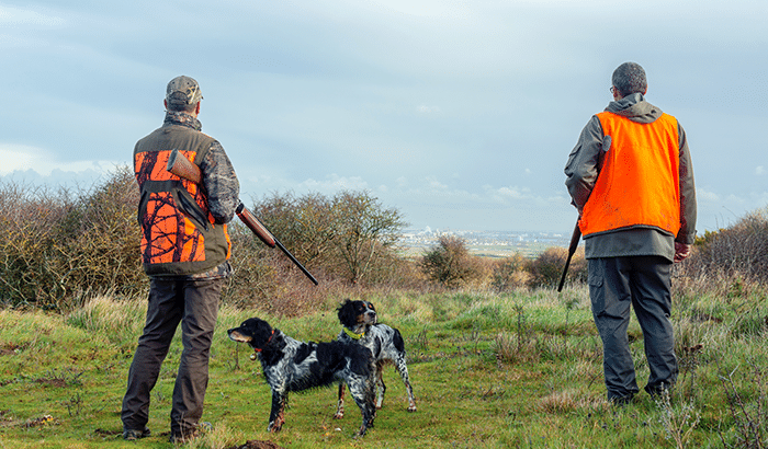 3 Hunting Dog Breeds That Also Make Good Pets