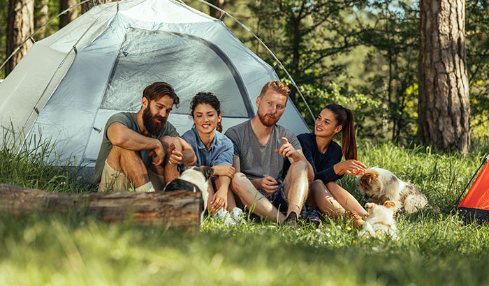 5 Things You Need for a Great Campsite