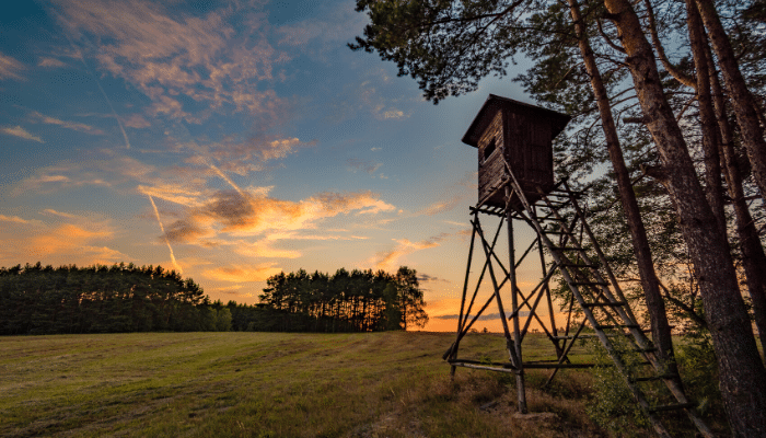 5 Tips for Finding the Best Tree Stand Location