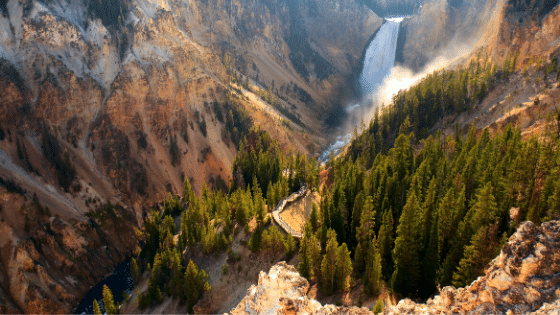 Best Hunting Habitats in Wyoming