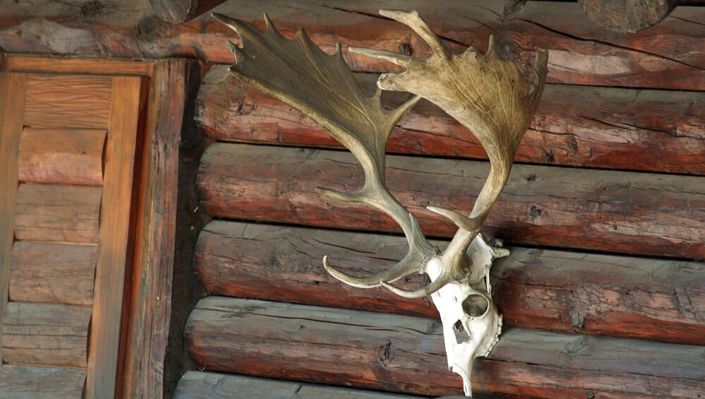 How the Right Hunting Lodge Can Change Your Trip