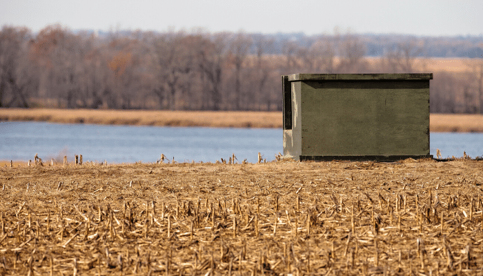 Tips for Setting Up Deer Hunting Blinds